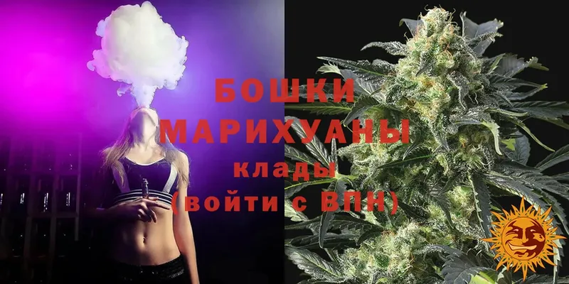 Конопля White Widow  Покачи 